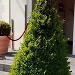 Will Hotel Altwarmbuchen