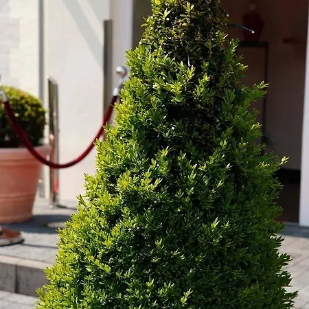 威尔别墅酒店 酒店 Altwarmbuchen